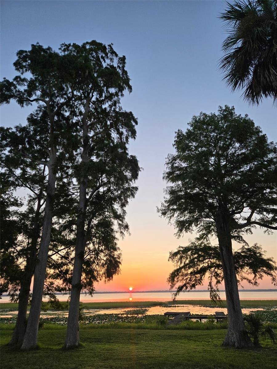 House in Lake Wales, Florida, United States 4 - 18571387