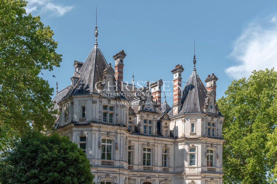 Castle in Cognac, Nouvelle-Aquitaine, France 5 - 13714767