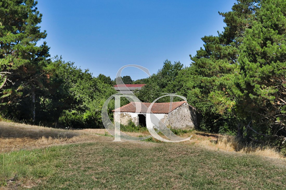 Casa en Bretignolles-sur-Mer, Países del Loira, Francia 5 - 18248491