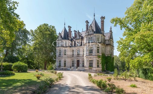 Castle in Cognac, Nouvelle-Aquitaine, France 1