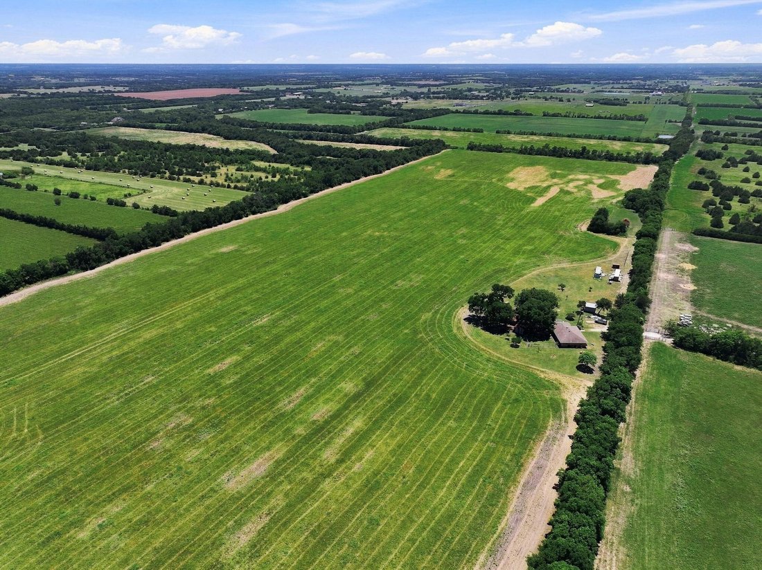 Farm Ranch in Blue Ridge, Texas, United States 3 - 18569075