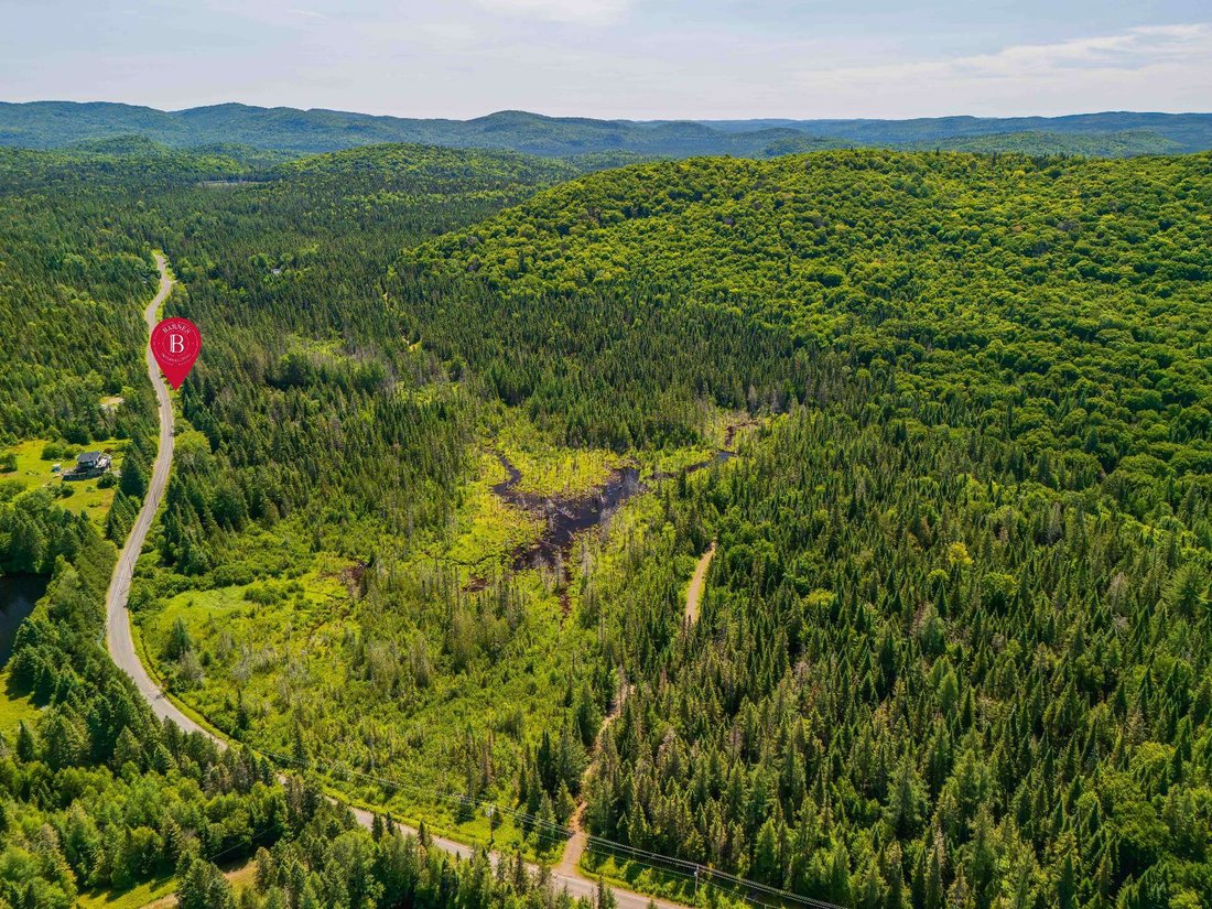 Sainte-Lucie-des-Laurentides, Quebec, Quebec, Canada 4 - 17338770