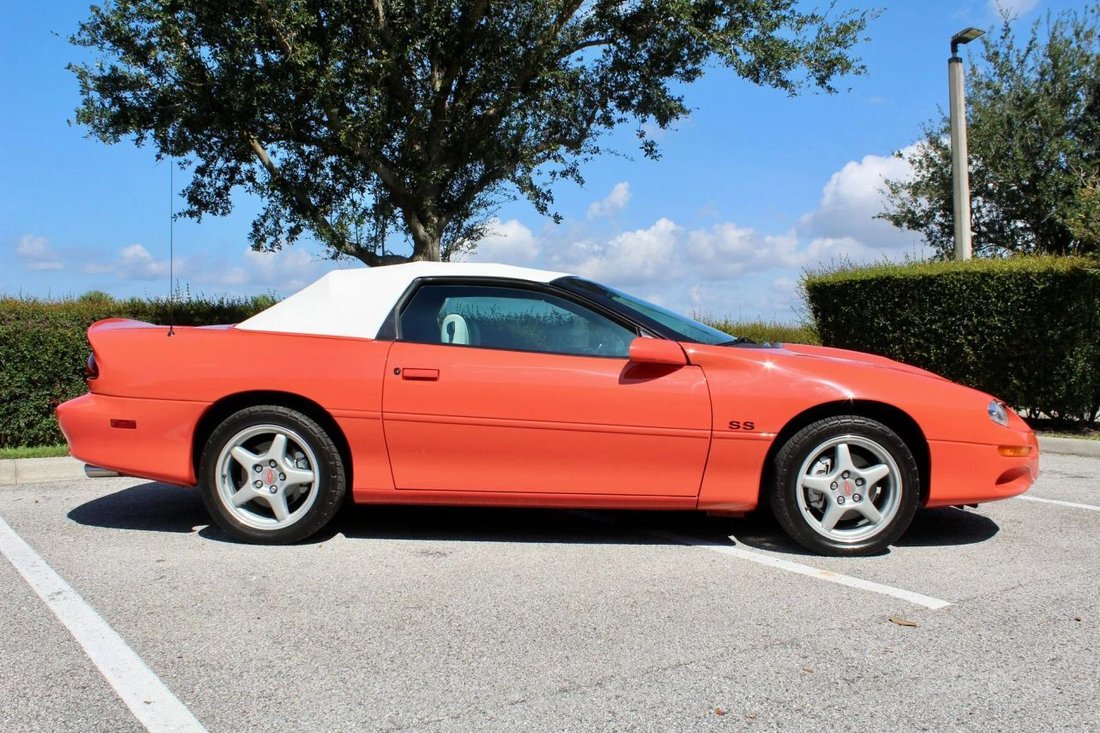 Cabriolet in Sarasota, FL, United States 4 - 18568165