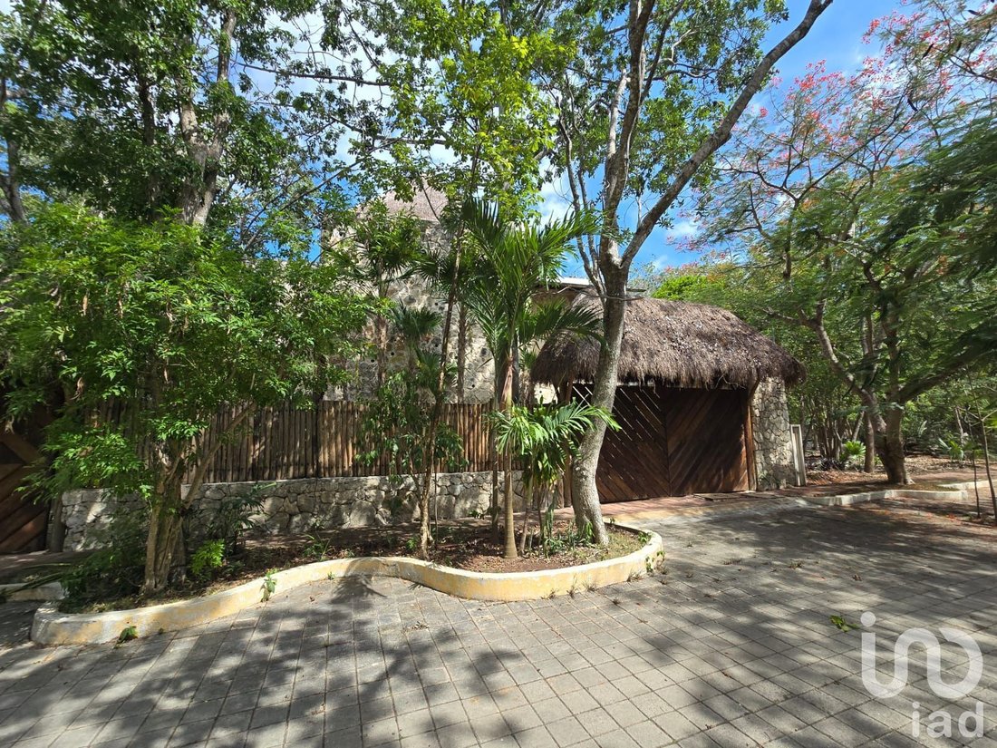 House in Guadalupano, Quintana Roo, Mexico 2 - 18500506