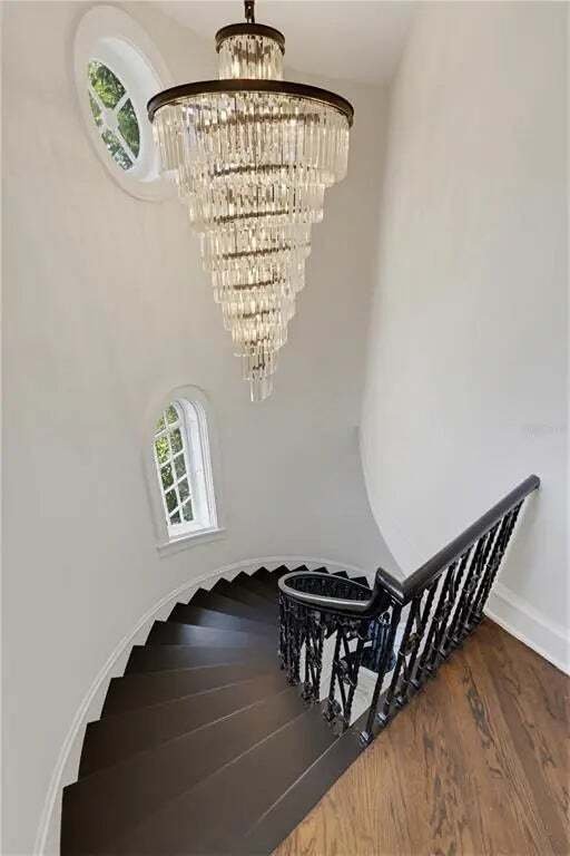 House in Tampa, Florida, United States 3 - 18570127
