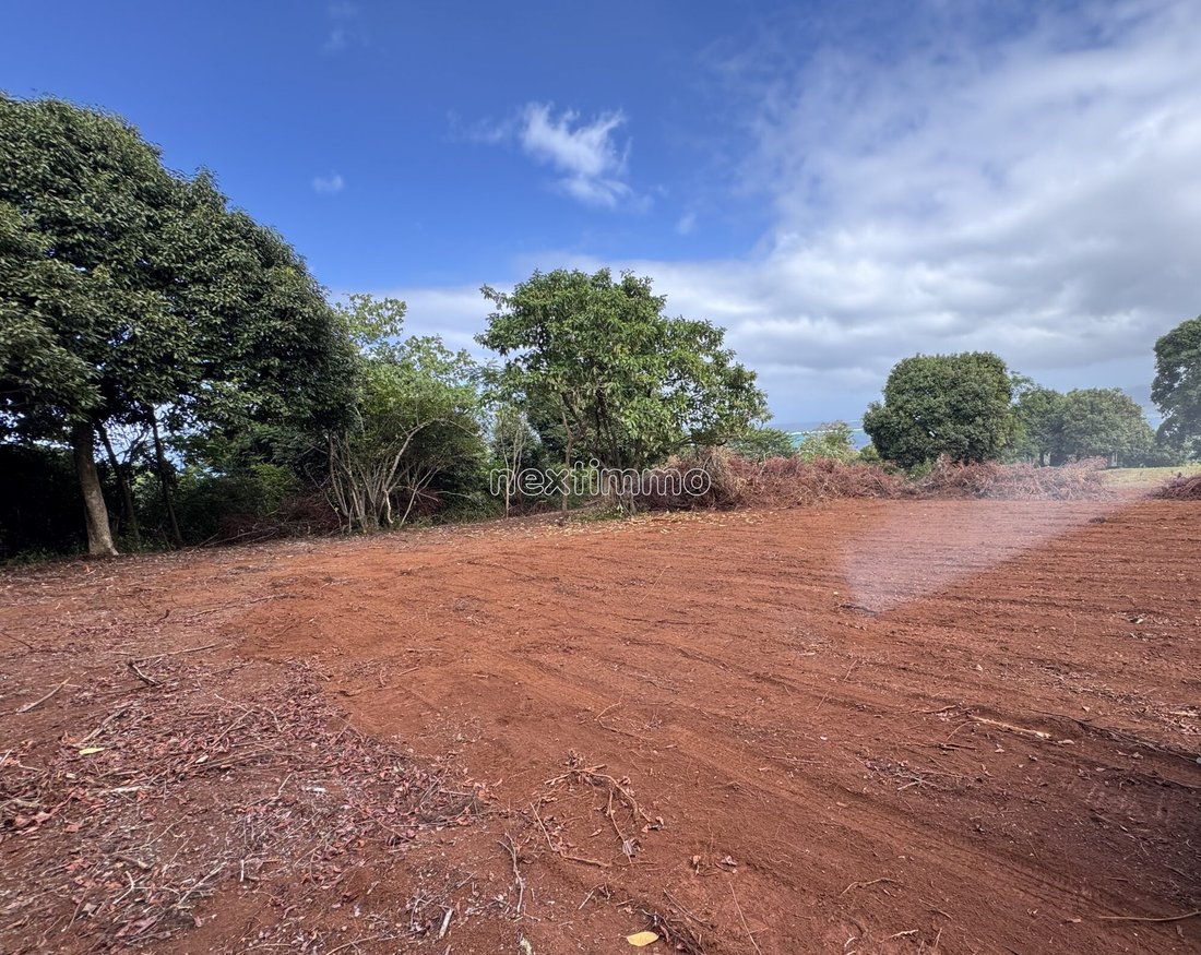Land in Taiarapu-Ouest, Windward Islands, French Polynesia 2 - 18570404