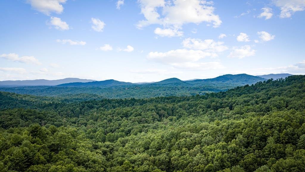 House in Morganton, Georgia, United States 4 - 18489642