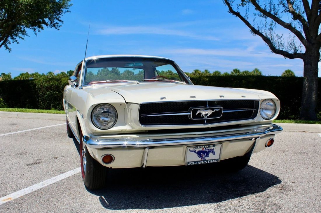 Coupe in Sarasota, FL, United States 5 - 18568189