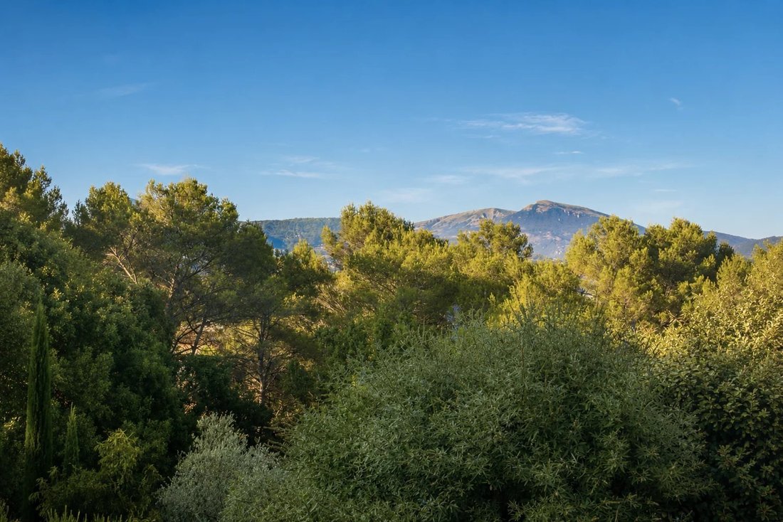 Casa en Grasse, Provenza-Alpes-Costa Azul, Francia 4 - 17953238