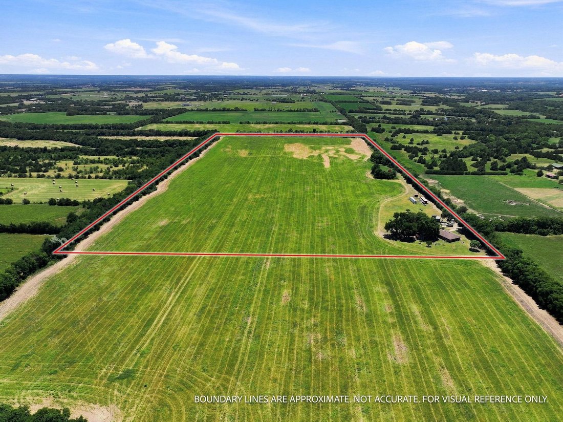Farm Ranch in Blue Ridge, Texas, United States 1 - 18569075