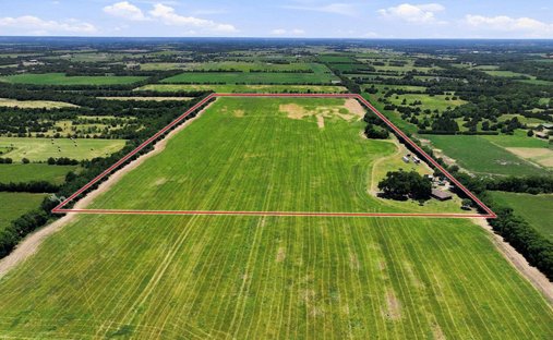 Farm Ranch in Blue Ridge, Texas, United States 1