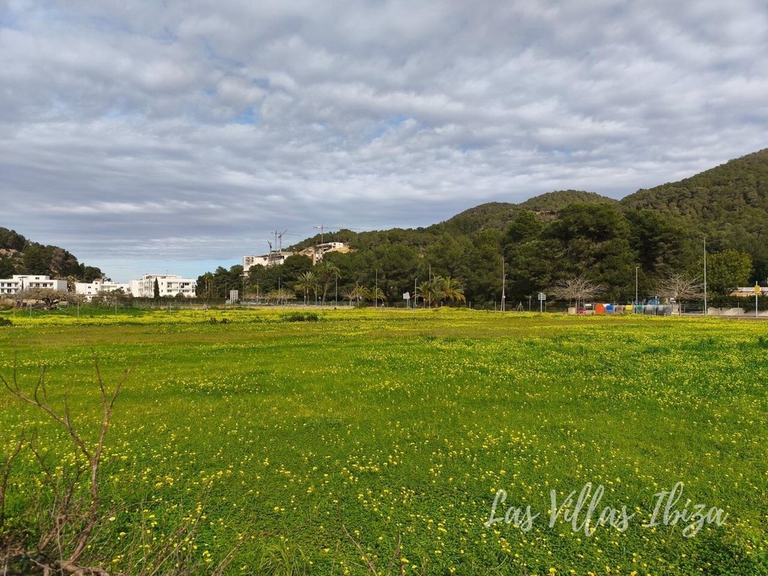 Land in Sant Joan de Labritja, Balearische Inseln, Spanien 1 - 18571068