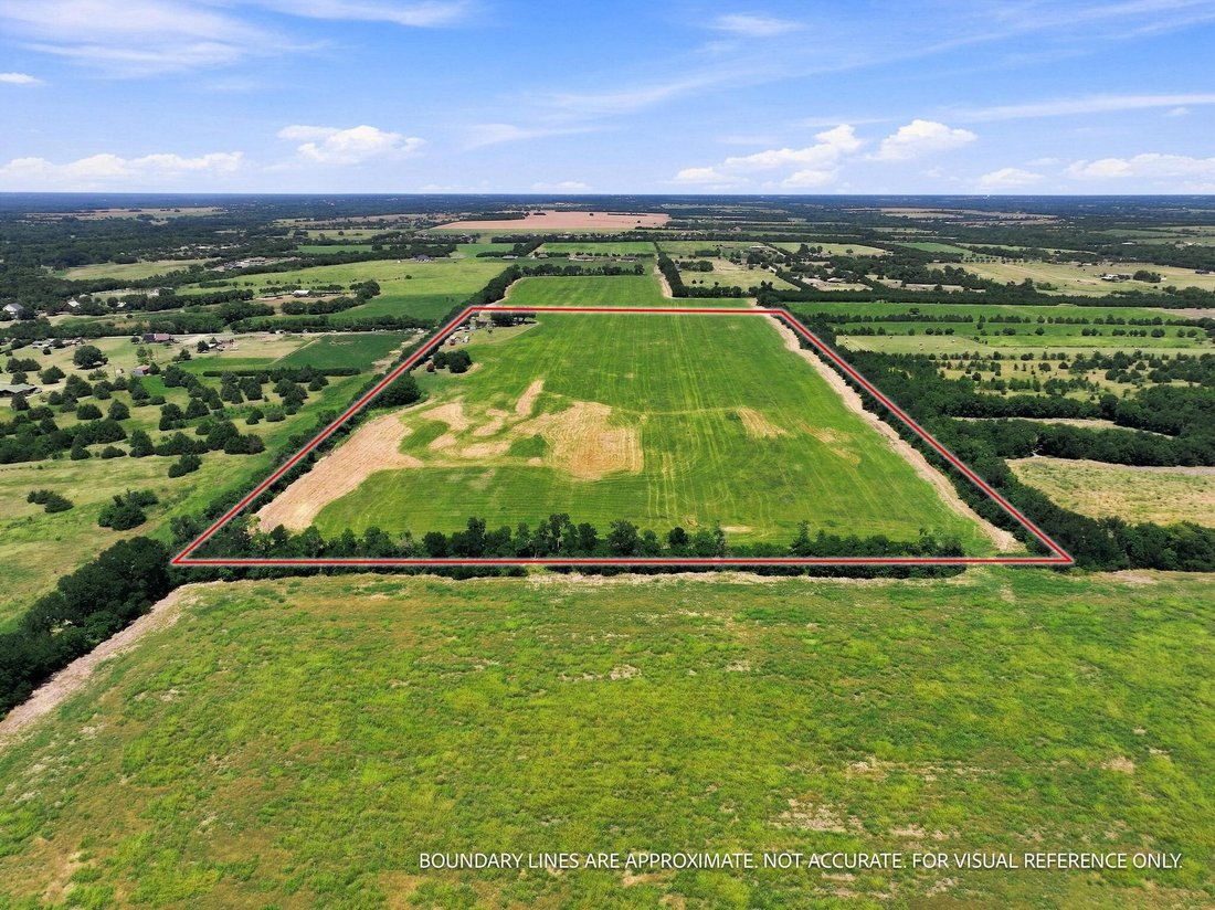 Farm Ranch in Blue Ridge, Texas, United States 4 - 18569075