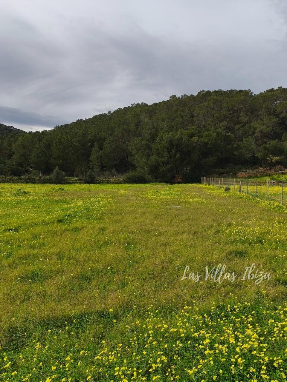 Land in Sant Joan de Labritja, Balearische Inseln, Spanien 2 - 18571068
