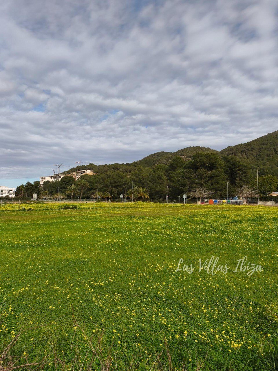 Land in Sant Joan de Labritja, Balearische Inseln, Spanien 4 - 18571068