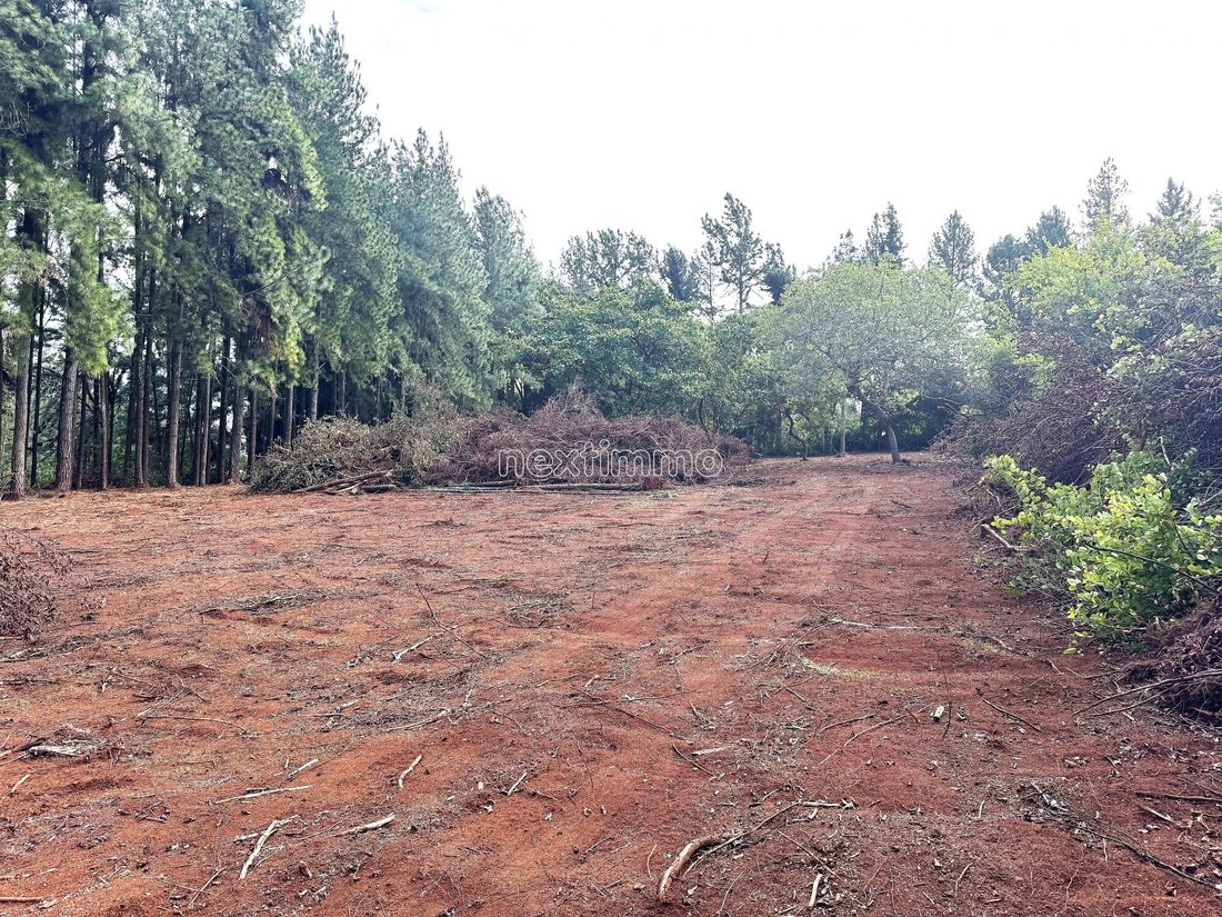 Land in Taiarapu-Ouest, Windward Islands, French Polynesia 5 - 18570404
