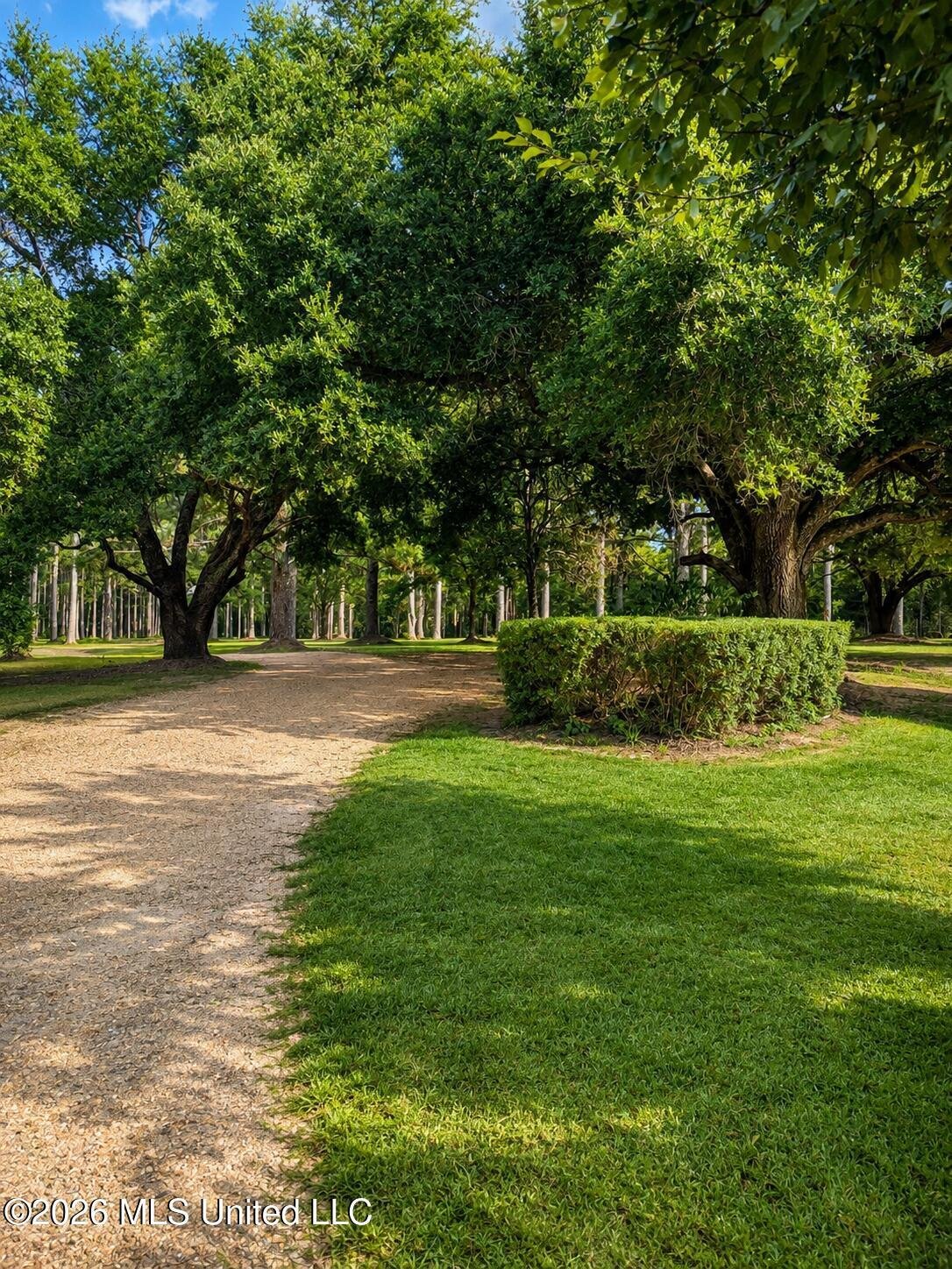 House in Magee, Mississippi, United States 5 - 18568765