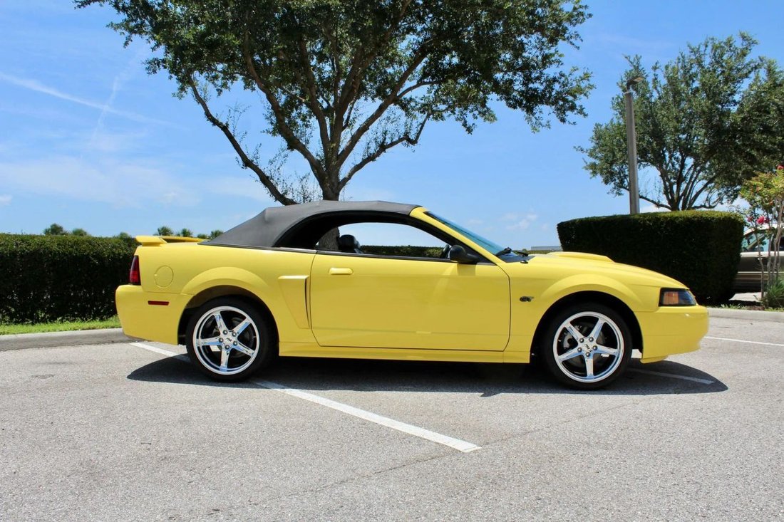 Cabriolet in Sarasota, FL, United States 4 - 18568161
