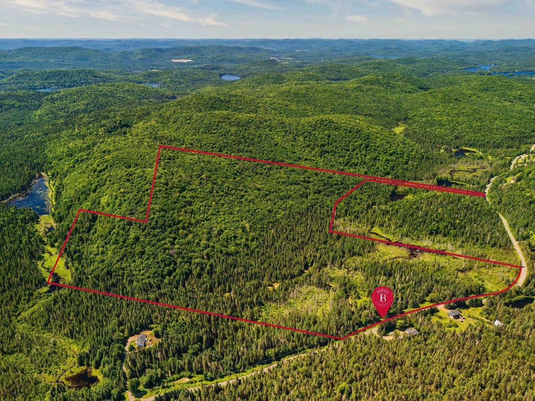 Sainte-Lucie-des-Laurentides, Quebec, Quebec, Canada 2 - 17338770