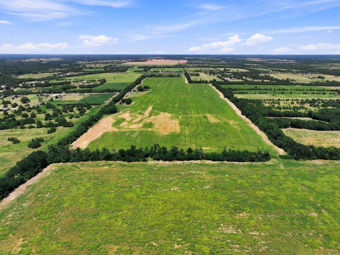 Farm Ranch in Blue Ridge, Texas, United States 5 - 18569075