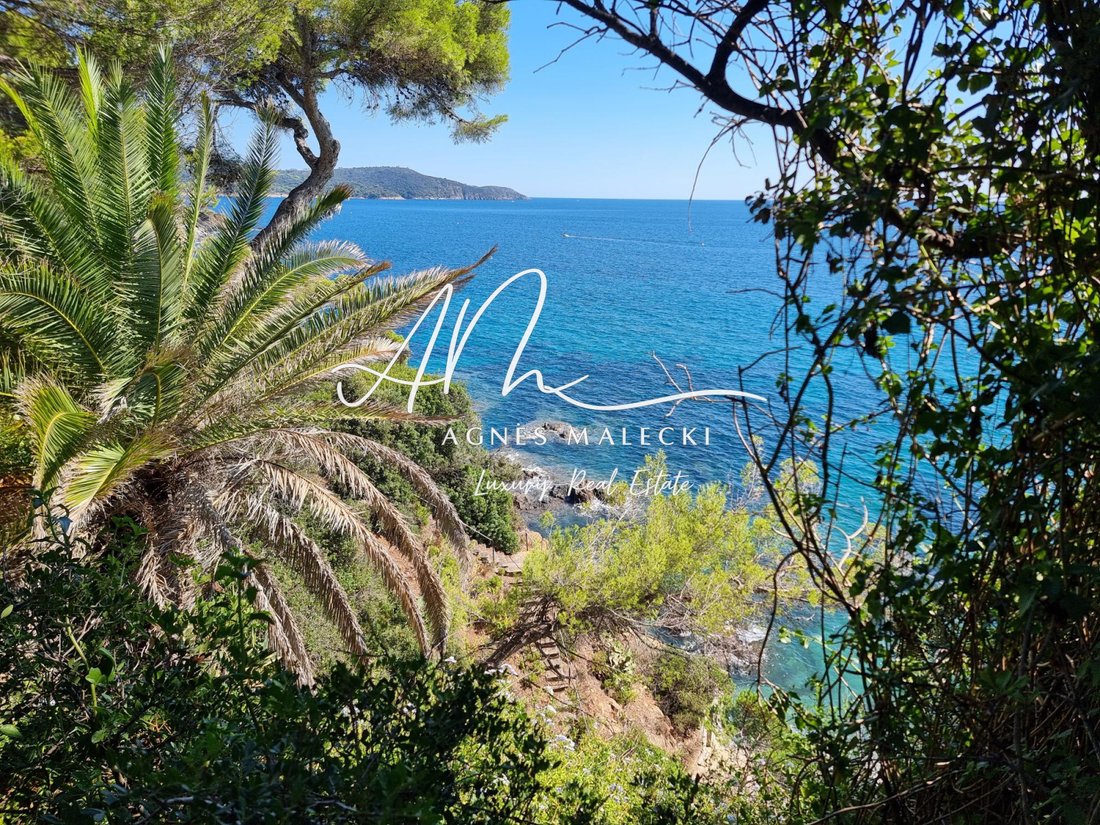 Estate in La Croix-Valmer, Provence-Alpes-Côte d'Azur, France 4 - 15765396