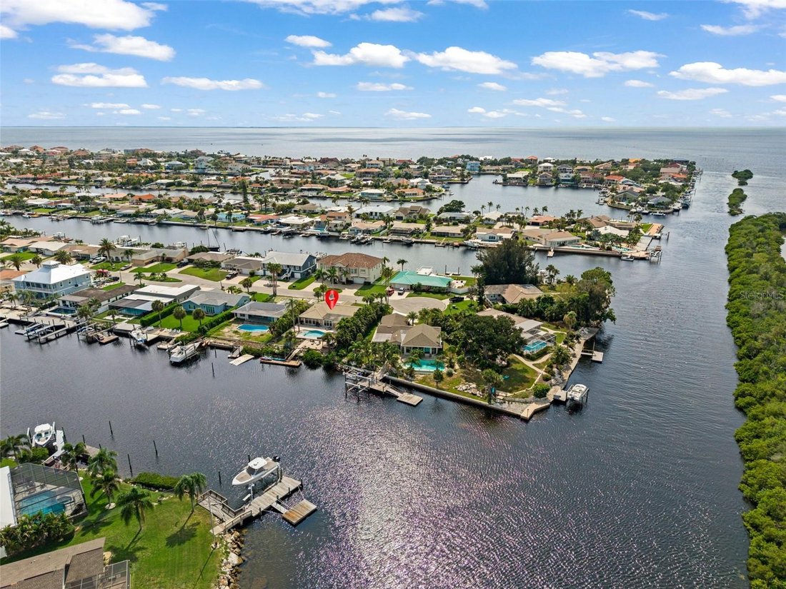 House in New Port Richey, Florida, United States 3 - 18568843