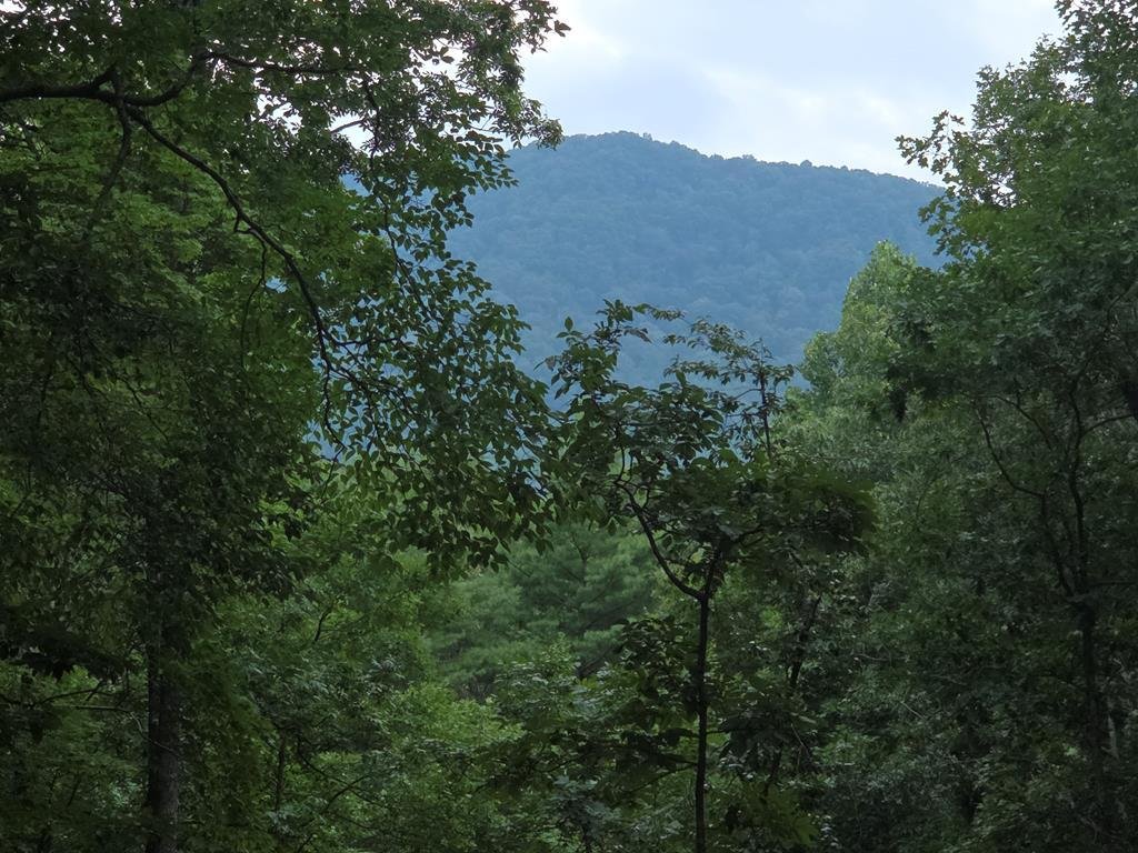 House in Blairsville, Georgia, United States 3 - 18572932