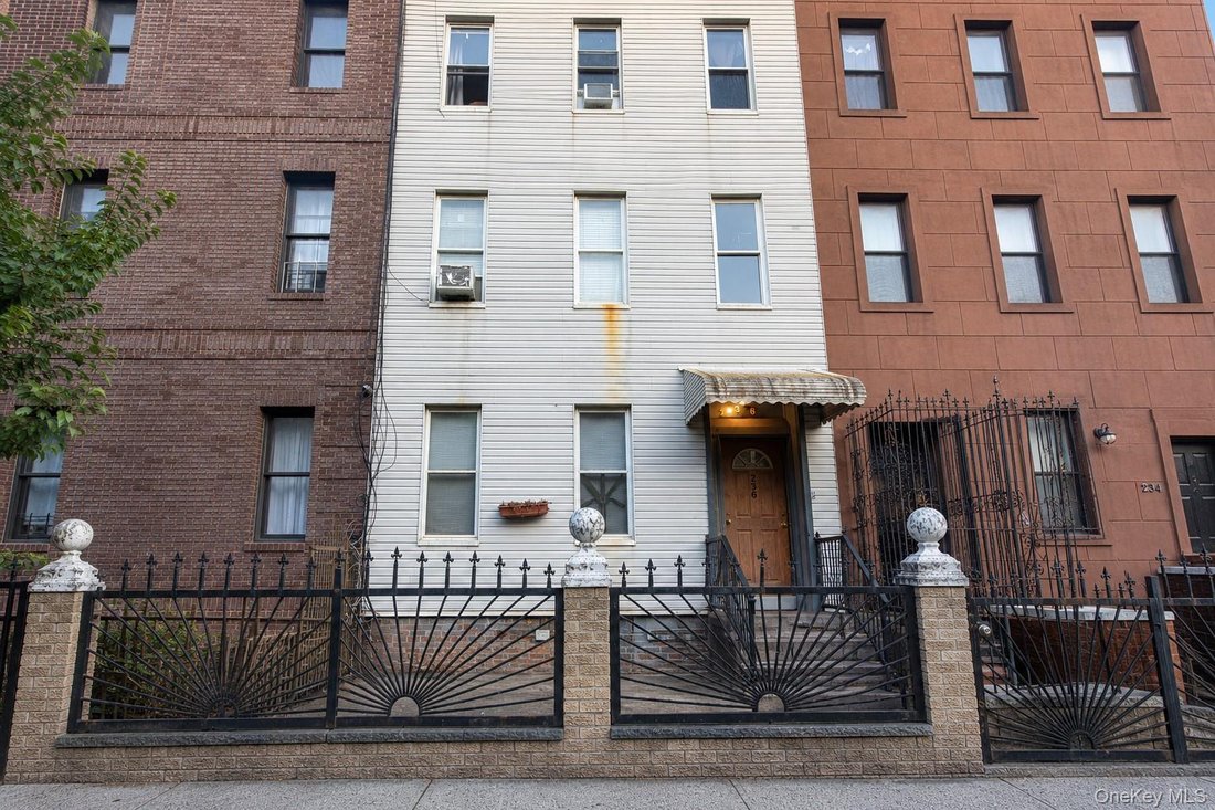 House in New York, New York, United States 1 - 18568535