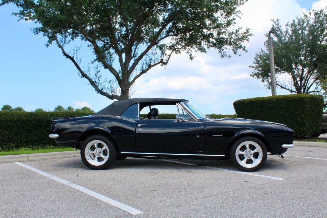 Cabriolet in Sarasota, FL, United States 4 - 18568183