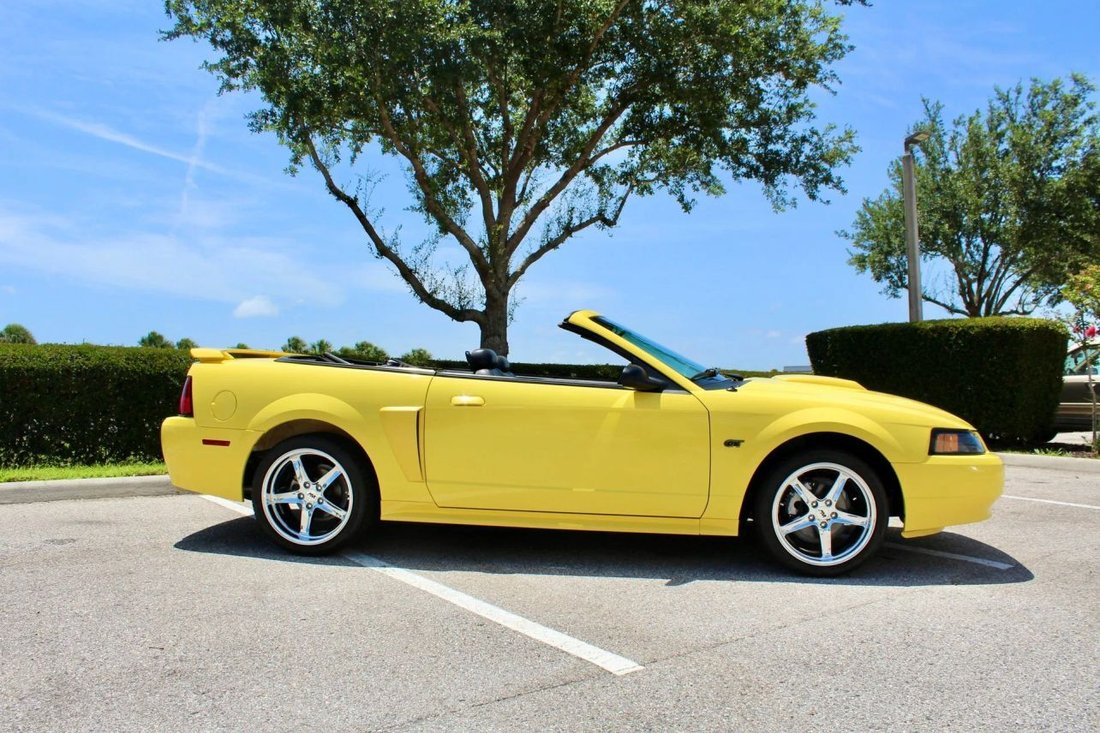 Cabriolet in Sarasota, FL, United States 3 - 18568161