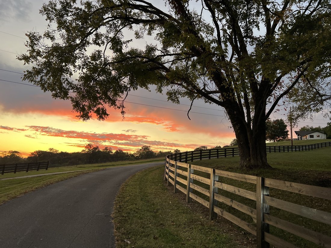 House in Columbia, Tennessee, United States 1 - 18571534