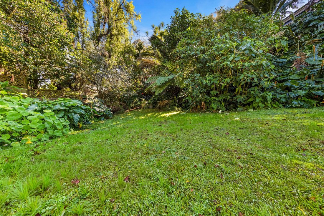 House in Auckland, Auckland, New Zealand 5 - 18570300