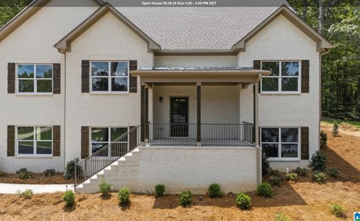 Casa en Chelsea, Alabama, Estados Unidos 1