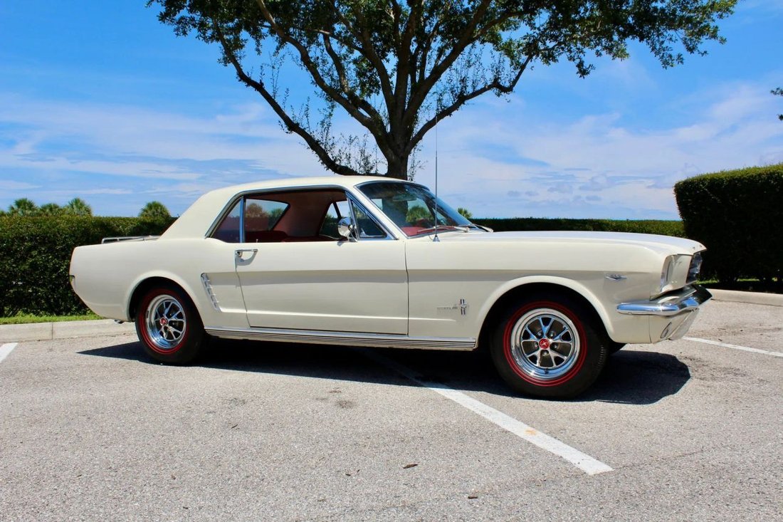 Coupe in Sarasota, FL, United States 3 - 18568189