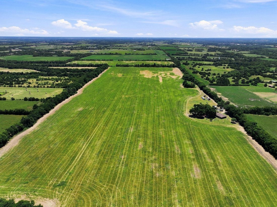 Farm Ranch in Blue Ridge, Texas, United States 2 - 18569075