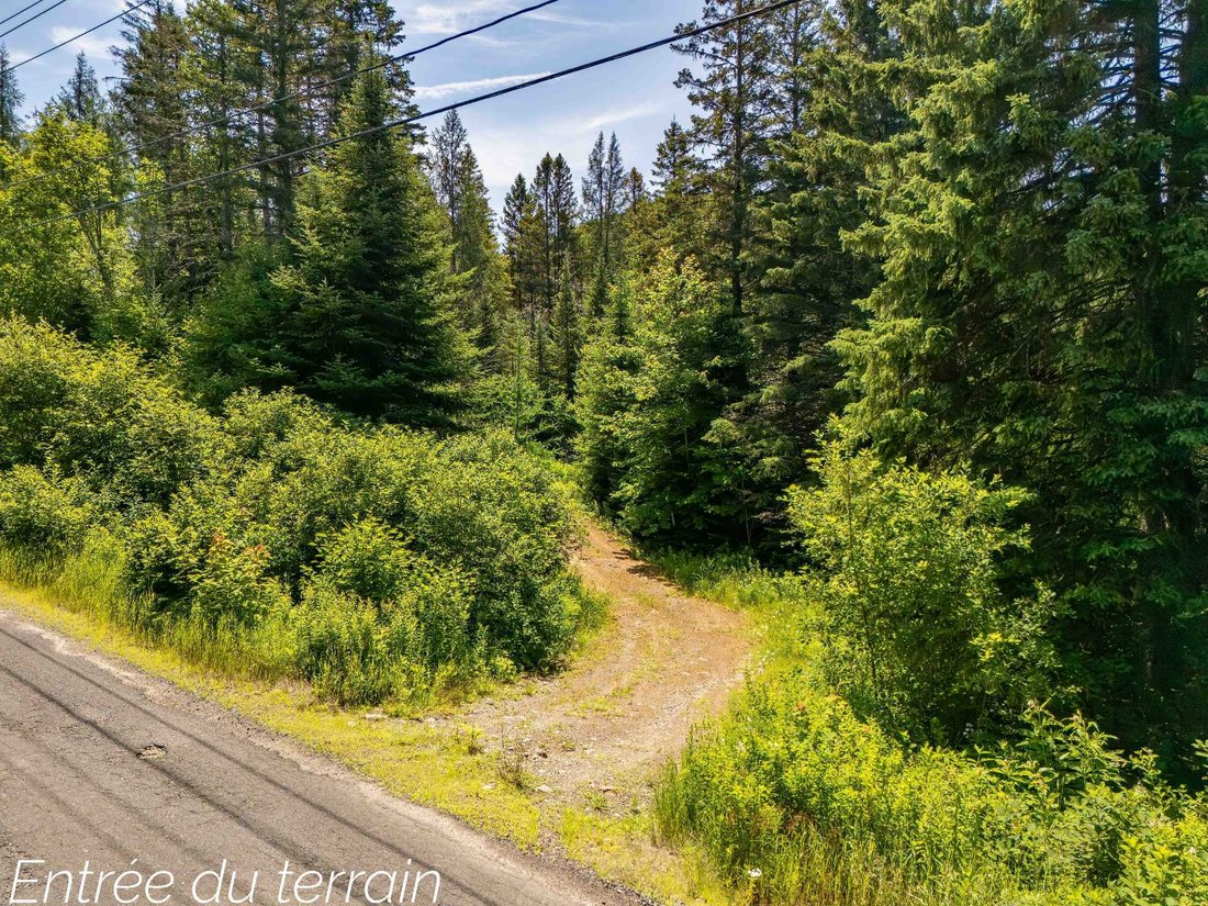 Sainte-Lucie-des-Laurentides, Quebec, Quebec, Canada 1 - 17338770