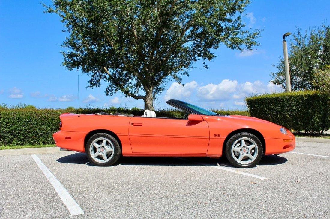 Cabriolet in Sarasota, FL, United States 3 - 18568165