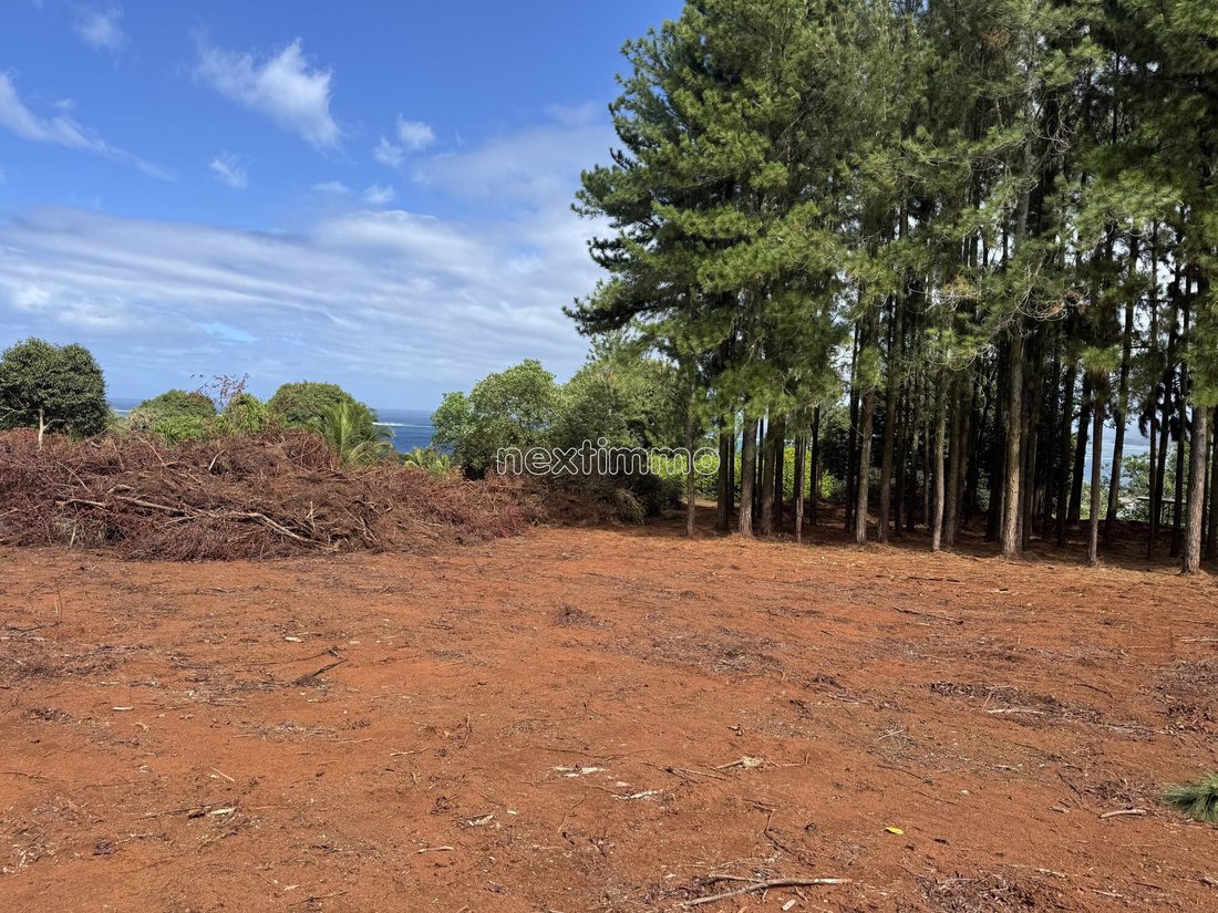 Land in Taiarapu-Ouest, Windward Islands, French Polynesia 1 - 18570404
