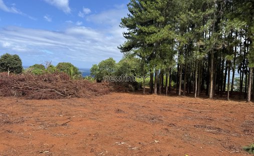 Land in Taiarapu-Ouest, Windward Islands, French Polynesia 1