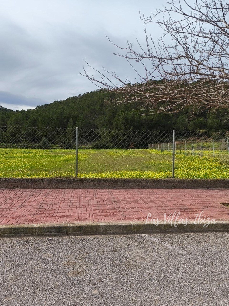 Land in Sant Joan de Labritja, Balearische Inseln, Spanien 5 - 18571068