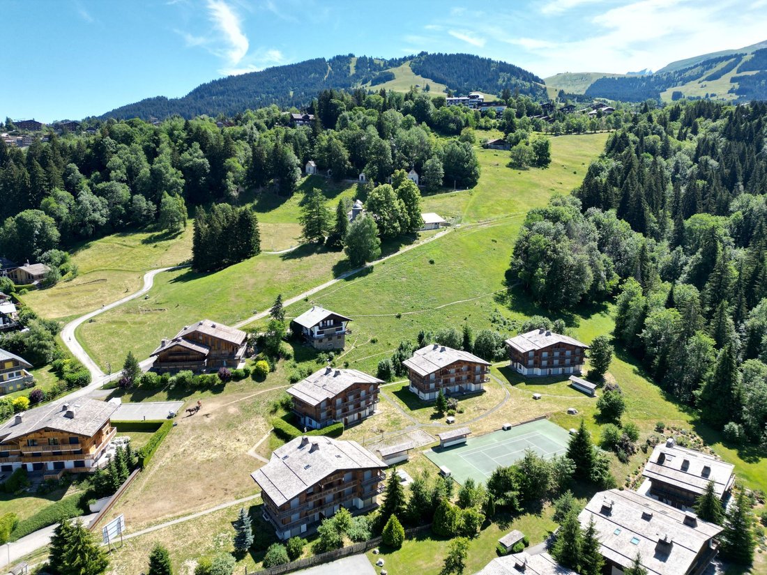 Apartment in Megève, Auvergne-Rhône-Alpes, France 3 - 18571610