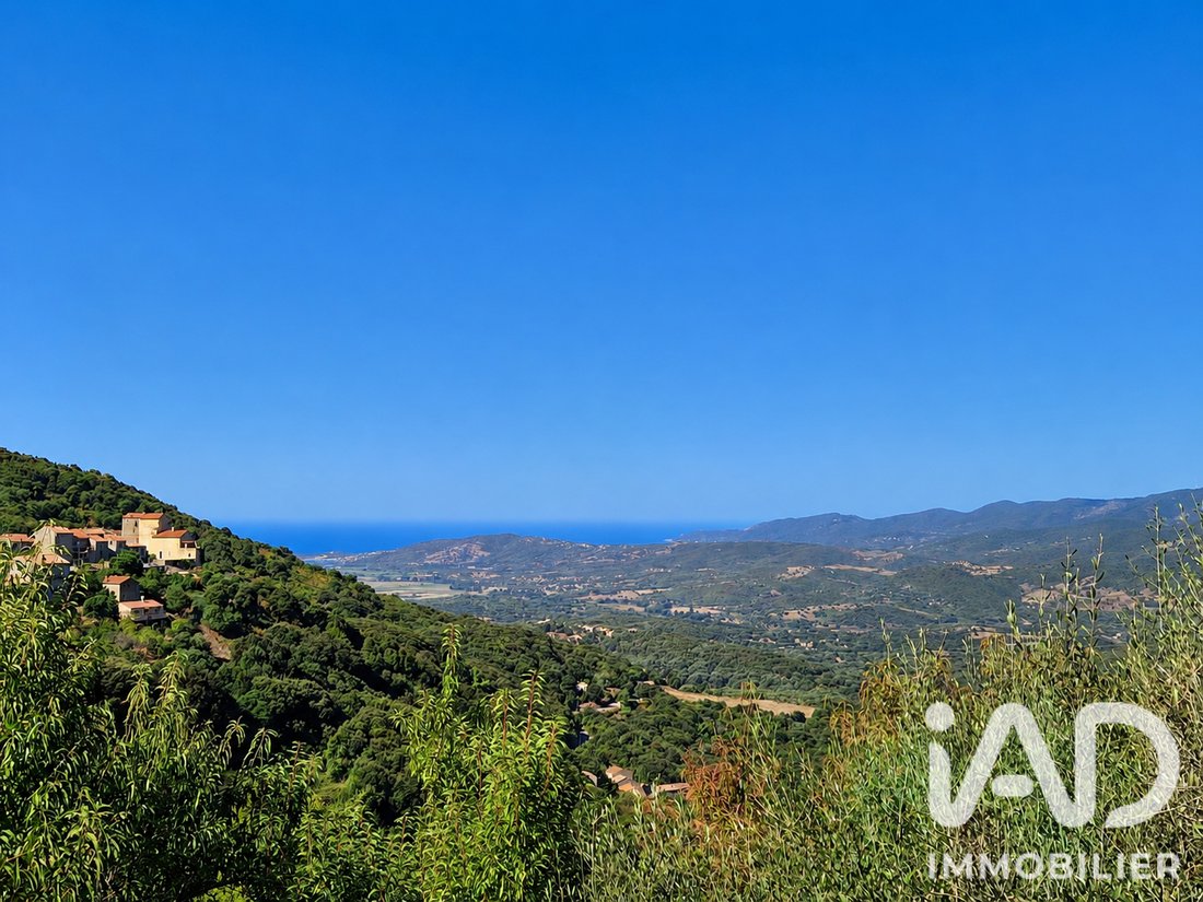 House in Sollacaro, Corsica, France 1 - 16176678