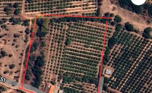 Finca a Silves, Algarve, Portogallo 1
