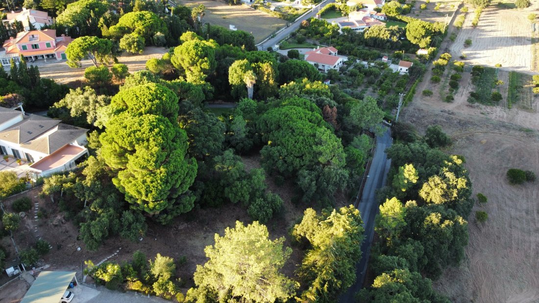 Land in Palmela, Setubal, Portugal 1 - 16195864
