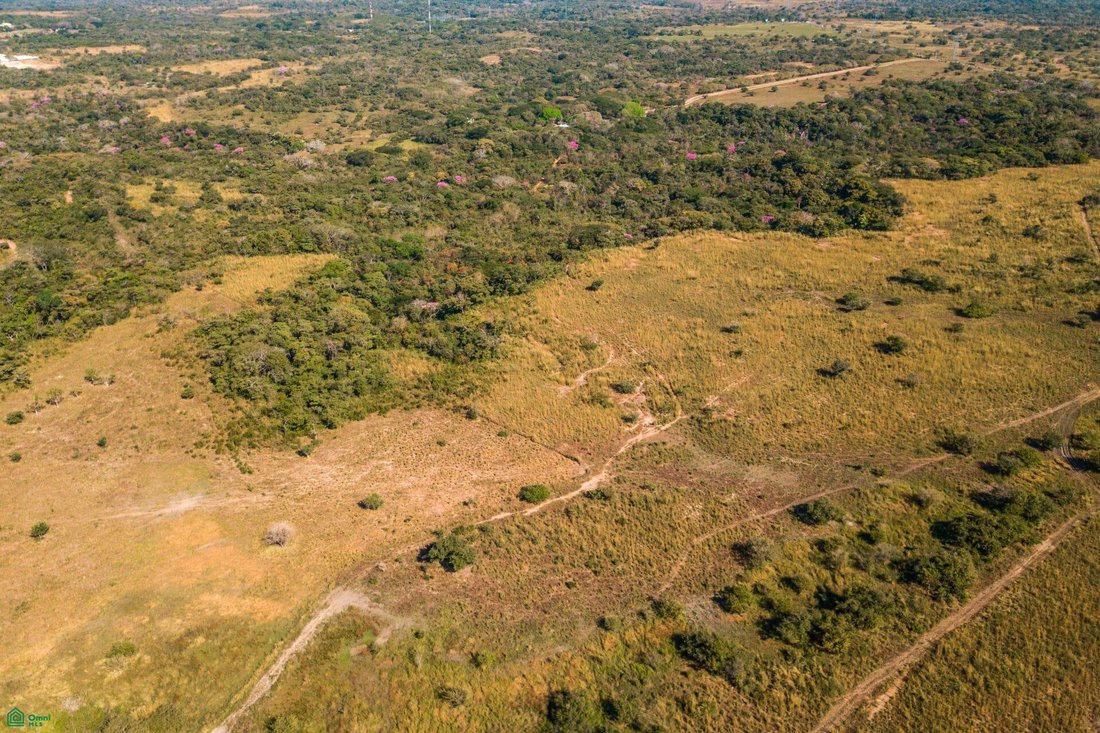 Land in Guardia, Guanacaste Province, Costa Rica 3 - 18487881