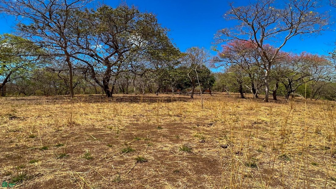 Land in Veinticiete de Abril, Santa Cruz, Costa Rica 5 - 17804982