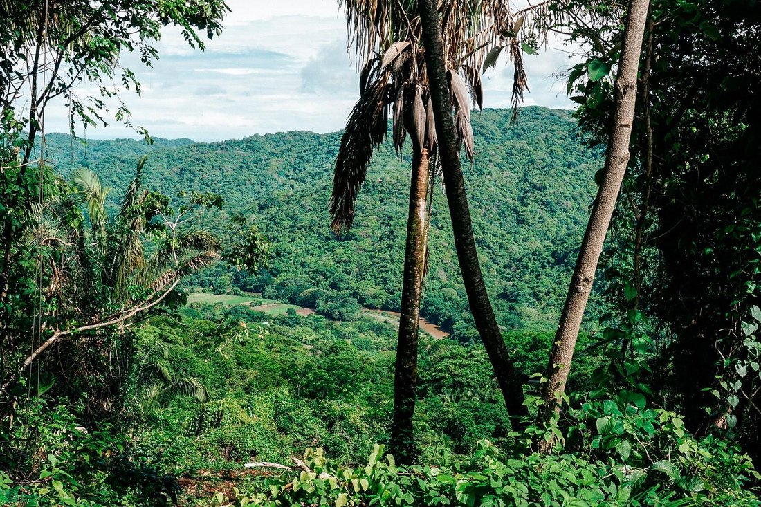Land in Nosara, Nicoya, Costa Rica 4 - 18496523