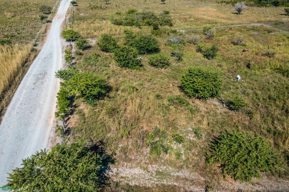 Land in Guardia, Guanacaste Province, Costa Rica 5 - 18487881