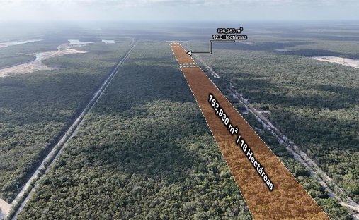 Land in Tres Ríos, Quintana Roo, Mexico 1