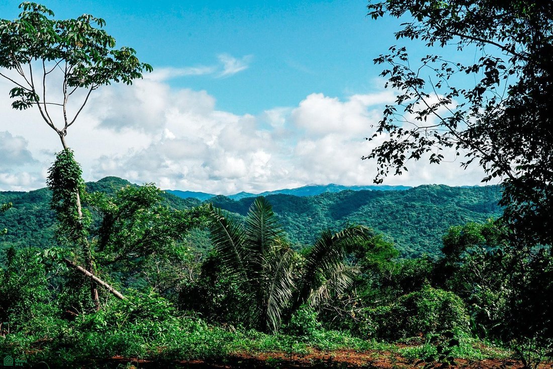 Land in Nosara, Nicoya, Costa Rica 2 - 18496523